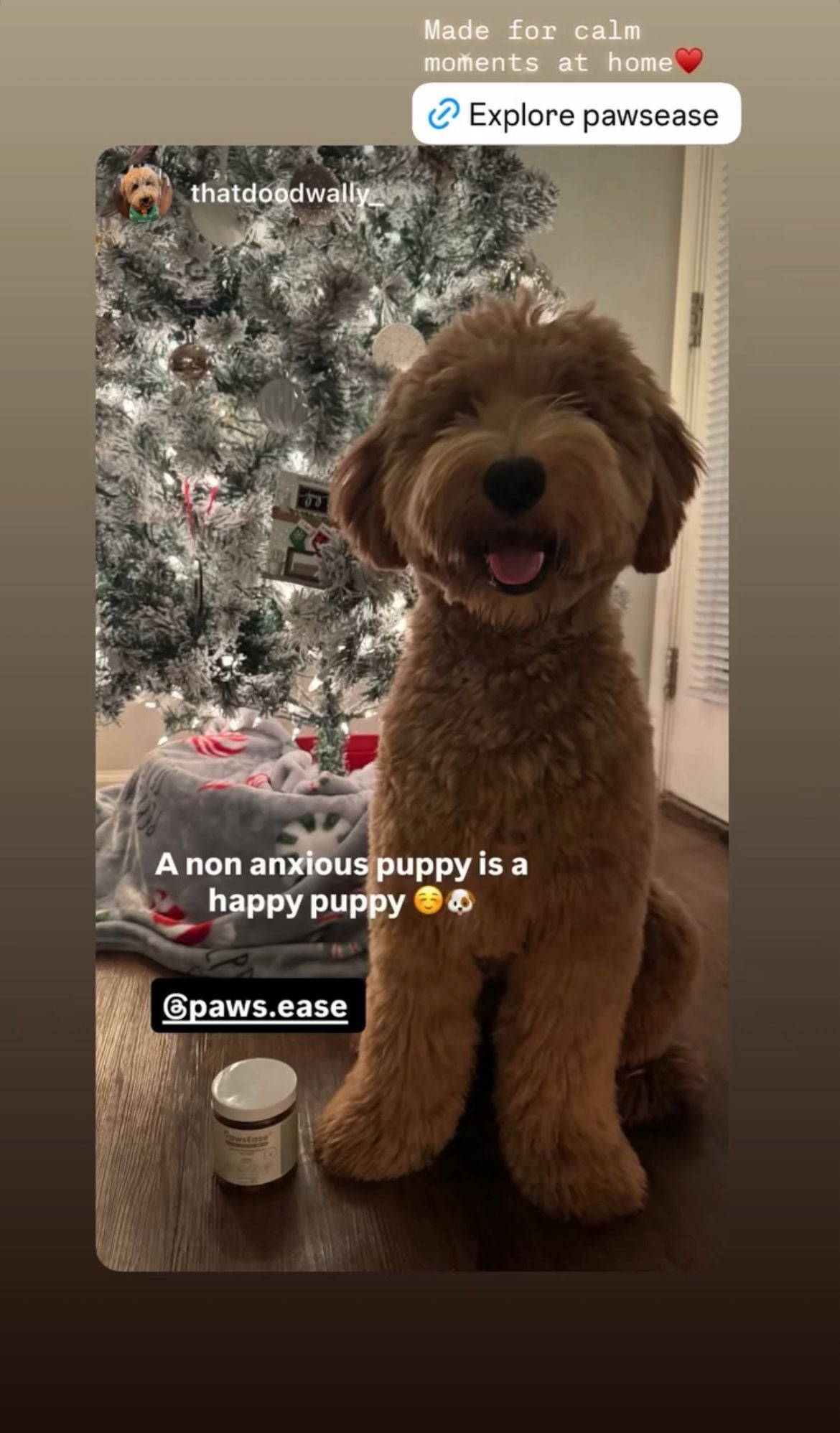 PawsEase™ Calming Support Chews